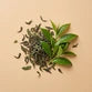 Green Tea Extract
